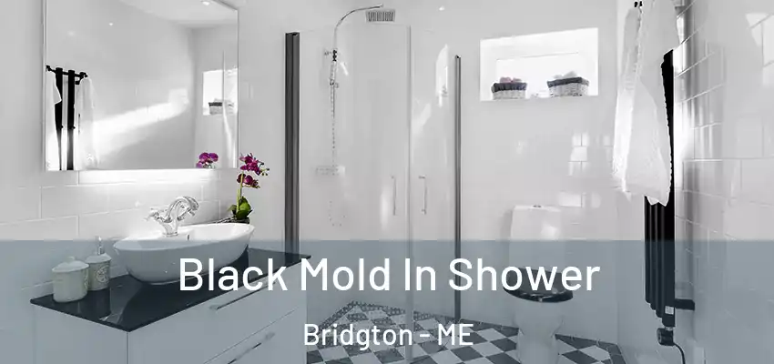  Black Mold In Shower Bridgton - ME