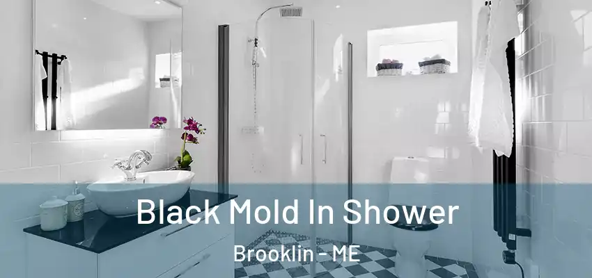 Black Mold In Shower Brooklin - ME