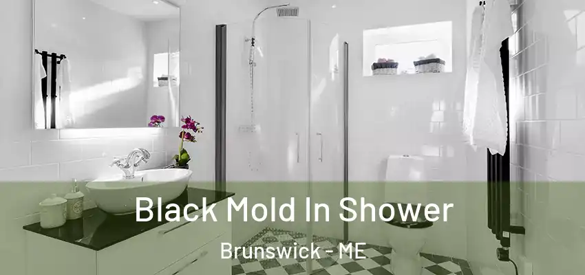 Black Mold In Shower Brunswick - ME