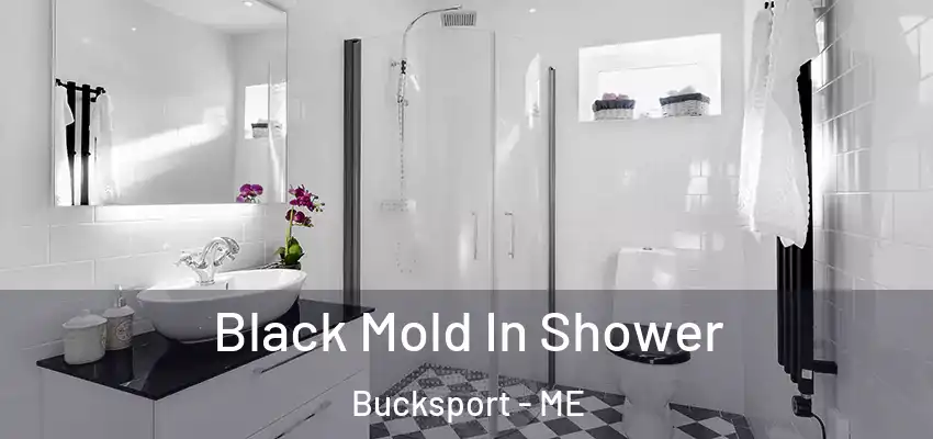  Black Mold In Shower Bucksport - ME