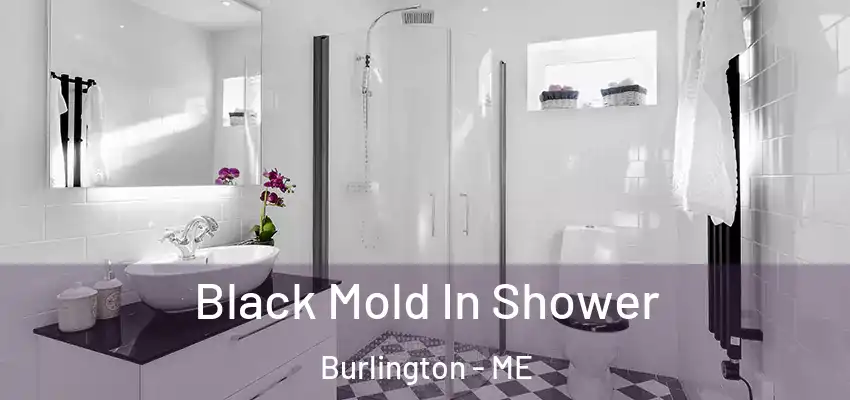 Black Mold In Shower Burlington - ME