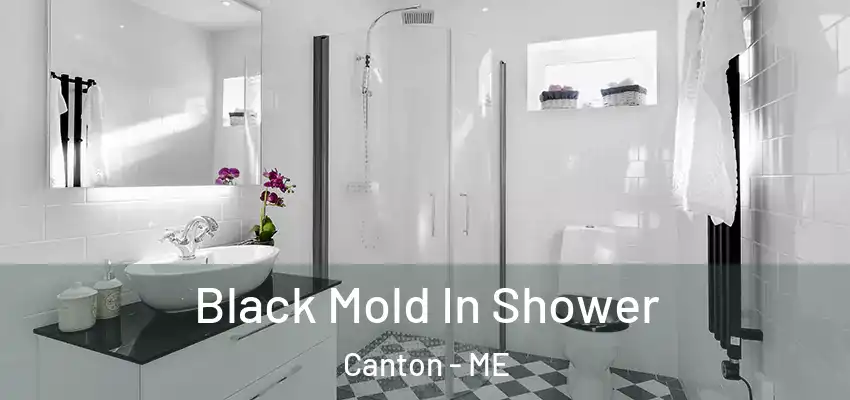 Black Mold In Shower Canton - ME