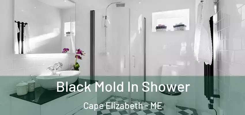  Black Mold In Shower Cape Elizabeth - ME