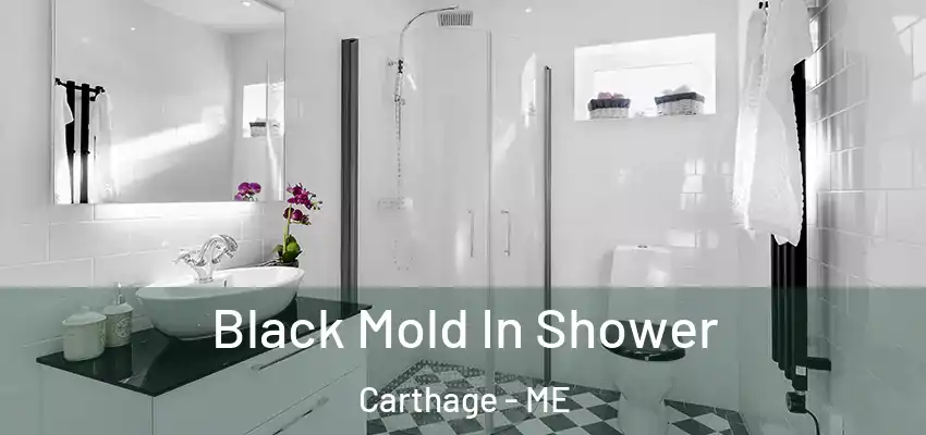 Black Mold In Shower Carthage - ME