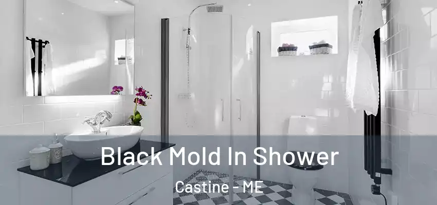 Black Mold In Shower Castine - ME