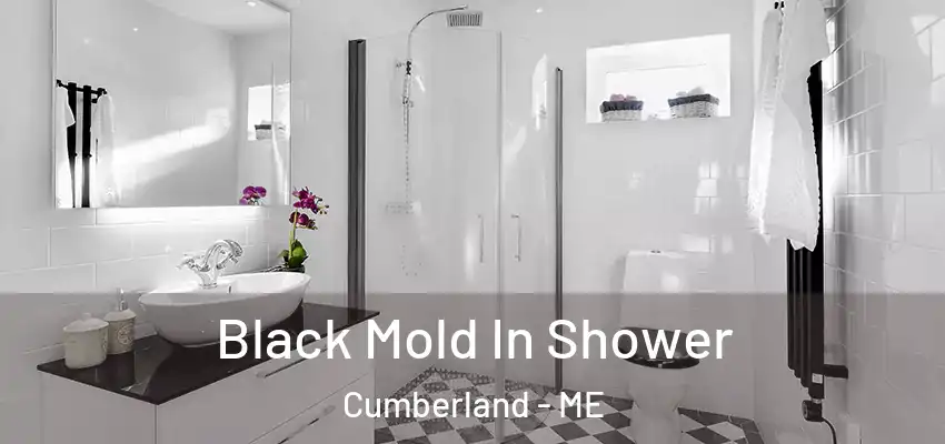 Black Mold In Shower Cumberland - ME