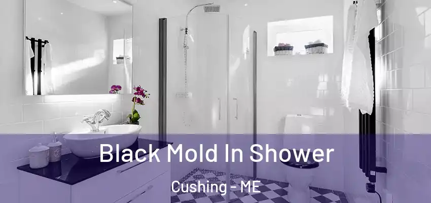  Black Mold In Shower Cushing - ME