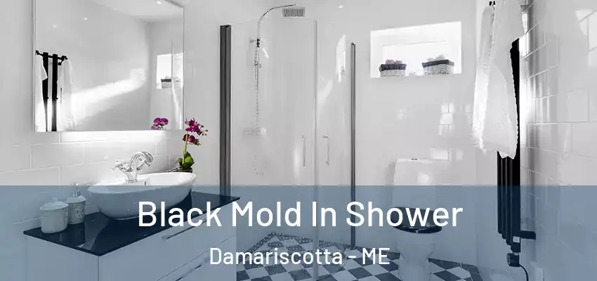 Black Mold In Shower Damariscotta - ME