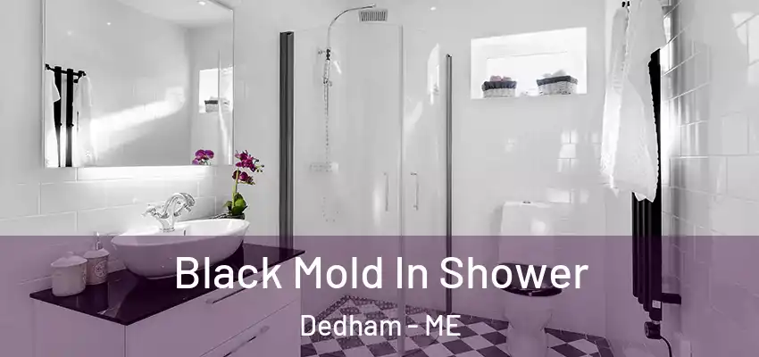  Black Mold In Shower Dedham - ME