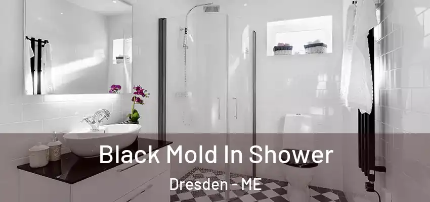  Black Mold In Shower Dresden - ME