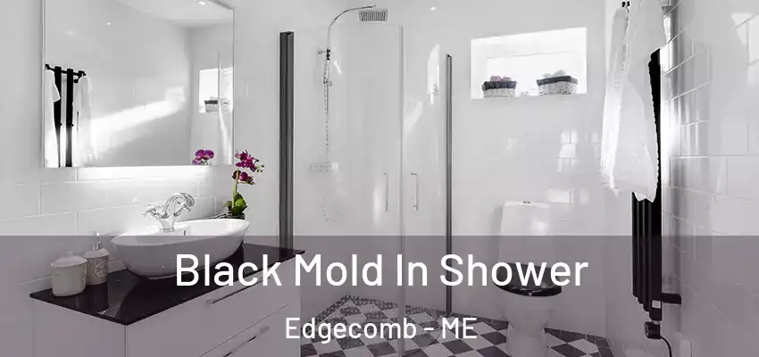 Black Mold In Shower Edgecomb - ME