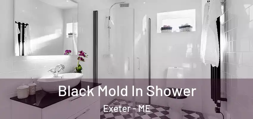 Black Mold In Shower Exeter - ME