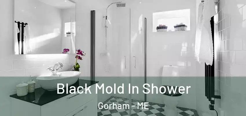  Black Mold In Shower Gorham - ME