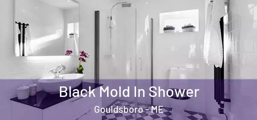 Black Mold In Shower Gouldsboro - ME