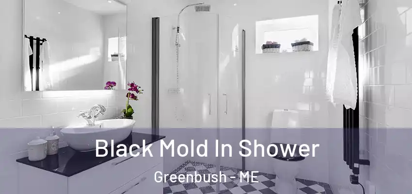 Black Mold In Shower Greenbush - ME