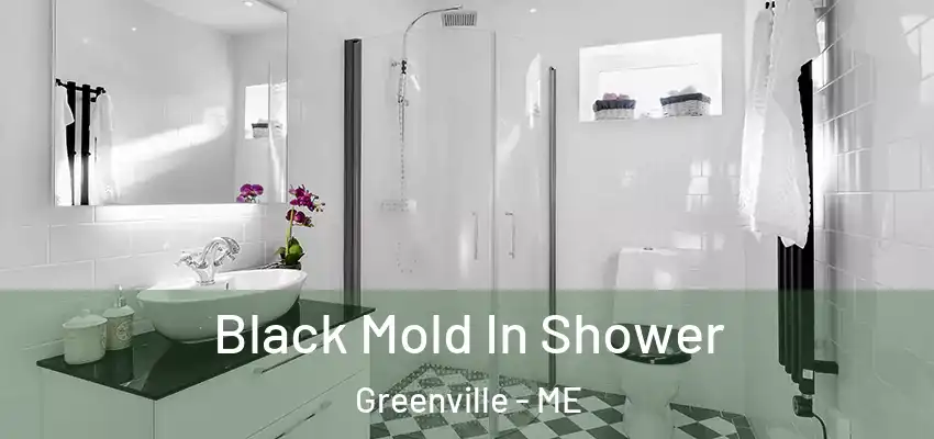  Black Mold In Shower Greenville - ME