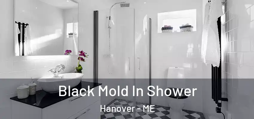  Black Mold In Shower Hanover - ME
