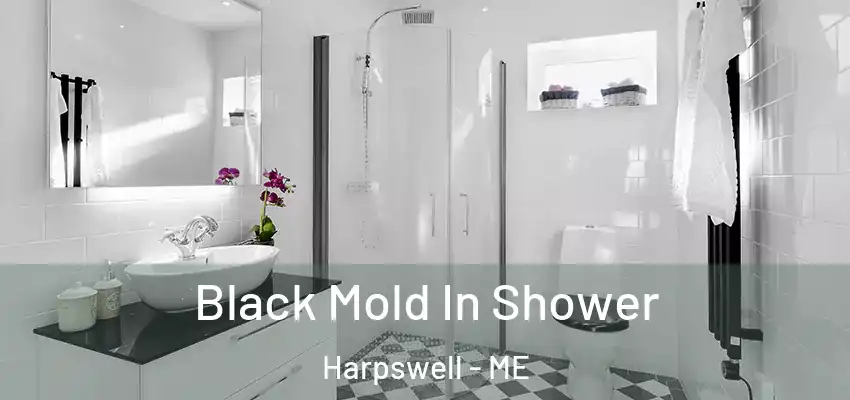  Black Mold In Shower Harpswell - ME