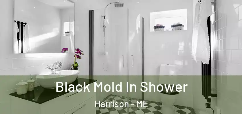  Black Mold In Shower Harrison - ME