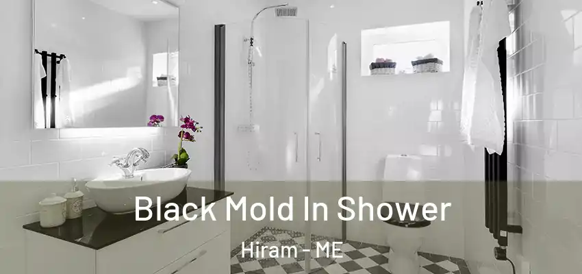 Black Mold In Shower Hiram - ME
