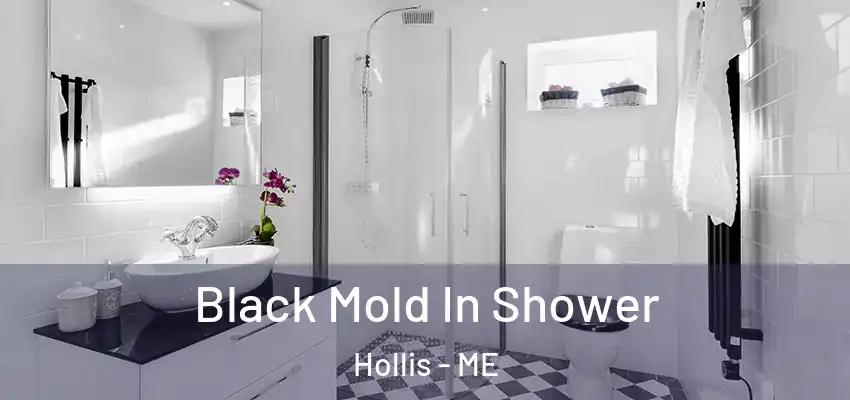 Black Mold In Shower Hollis - ME