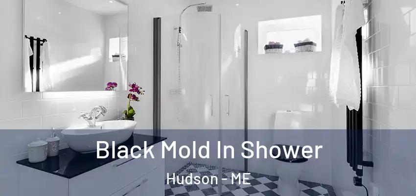 Black Mold In Shower Hudson - ME