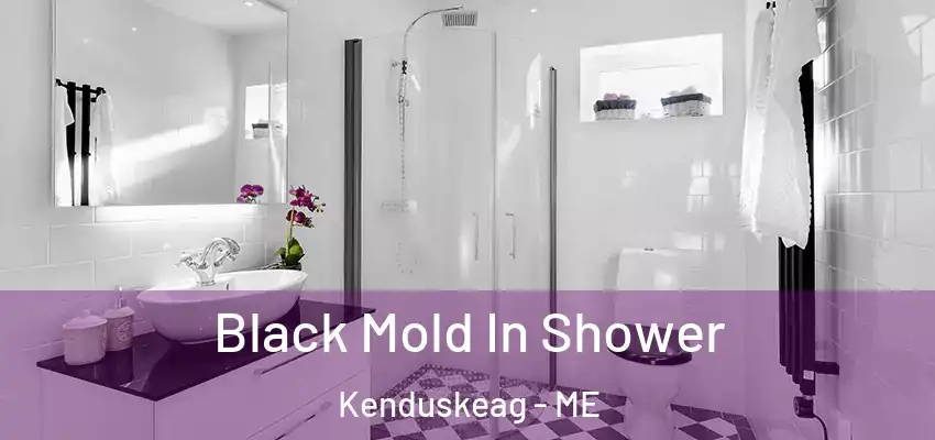 Black Mold In Shower Kenduskeag - ME