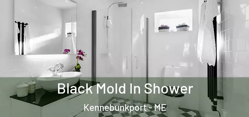  Black Mold In Shower Kennebunkport - ME