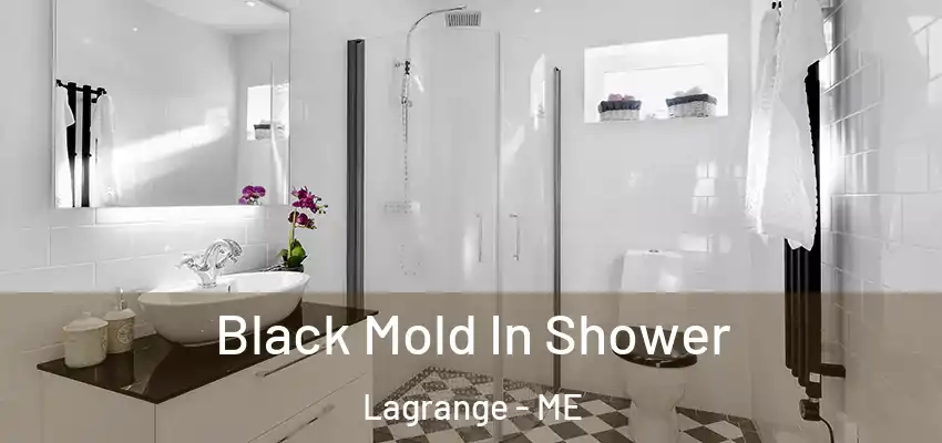  Black Mold In Shower Lagrange - ME