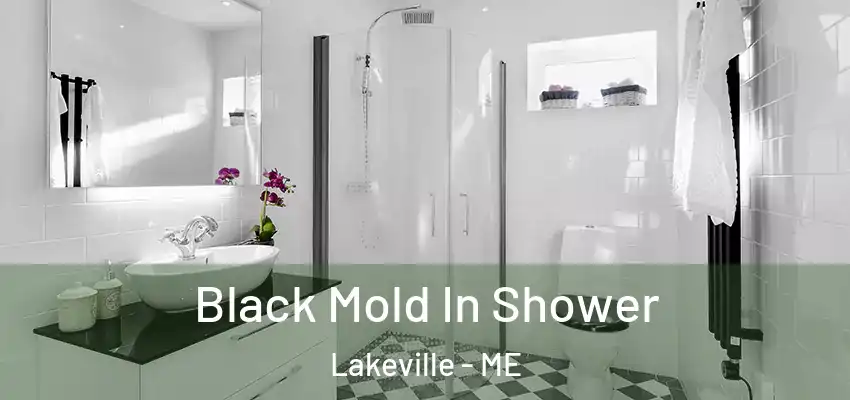  Black Mold In Shower Lakeville - ME