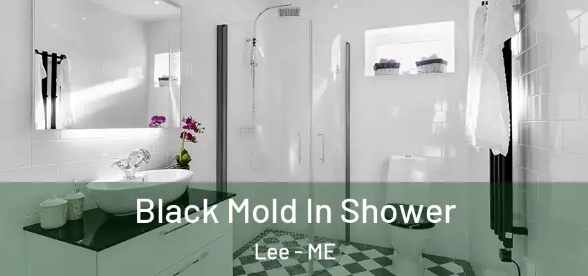 Black Mold In Shower Lee - ME