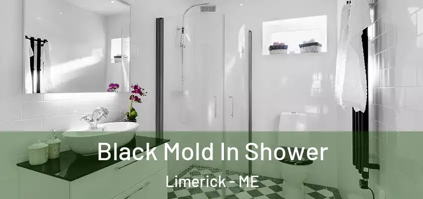 Black Mold In Shower Limerick - ME