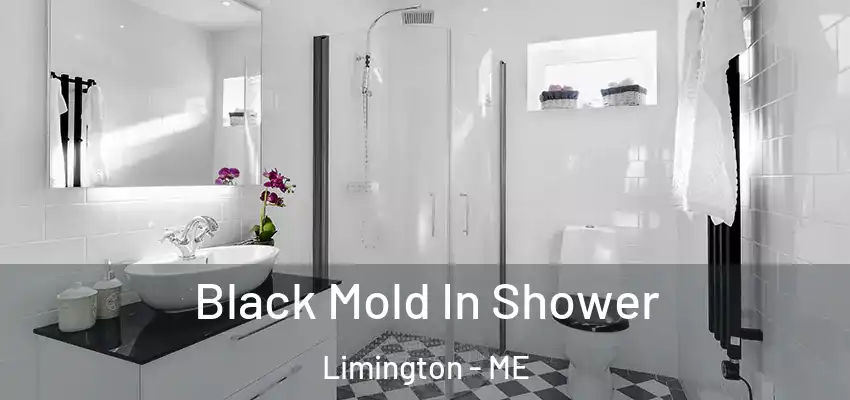 Black Mold In Shower Limington - ME