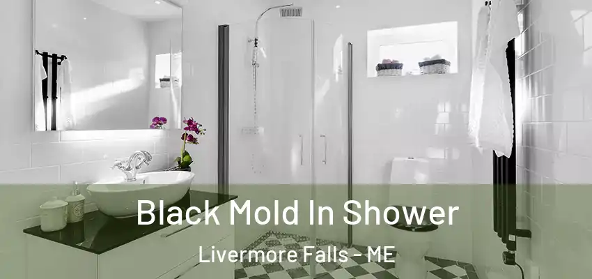  Black Mold In Shower Livermore Falls - ME
