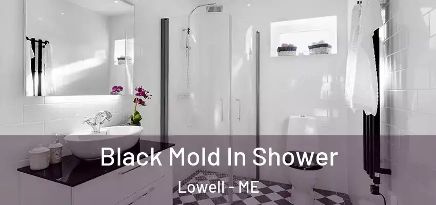 Black Mold In Shower Lowell - ME
