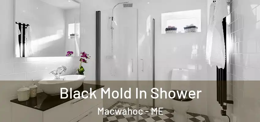Black Mold In Shower Macwahoc - ME
