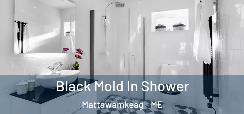  Black Mold In Shower Mattawamkeag - ME