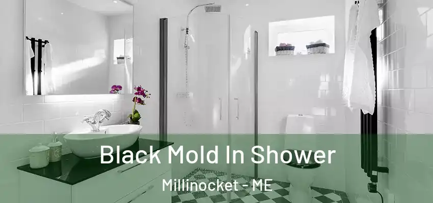 Black Mold In Shower Millinocket - ME