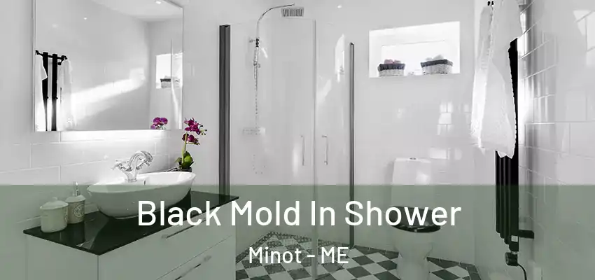  Black Mold In Shower Minot - ME