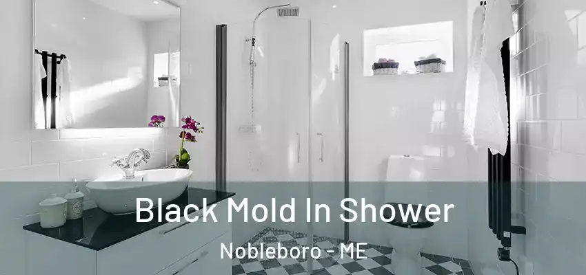  Black Mold In Shower Nobleboro - ME