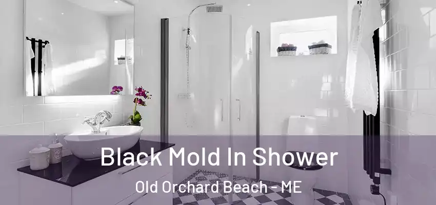 Black Mold In Shower Old Orchard Beach - ME
