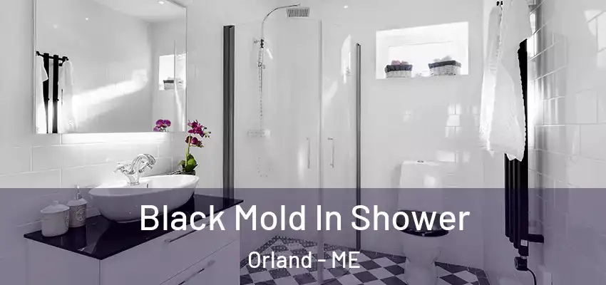 Black Mold In Shower Orland - ME