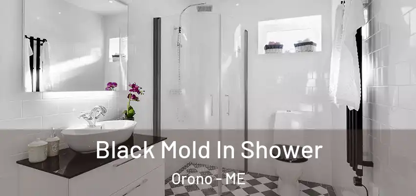 Black Mold In Shower Orono - ME