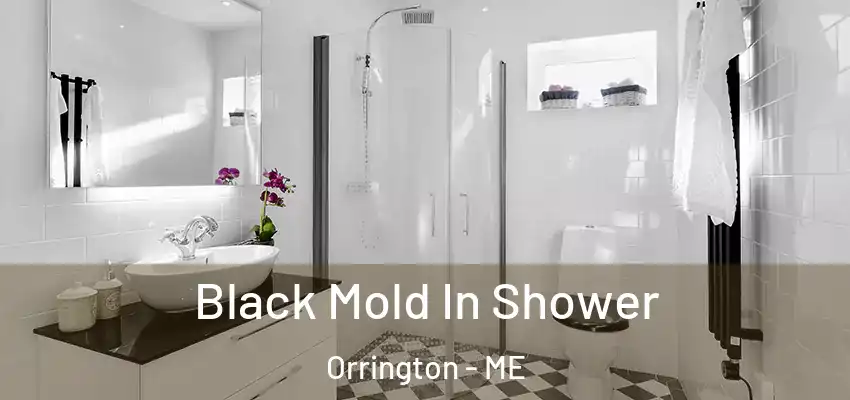 Black Mold In Shower Orrington - ME