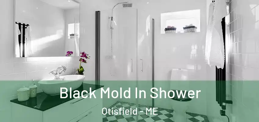 Black Mold In Shower Otisfield - ME