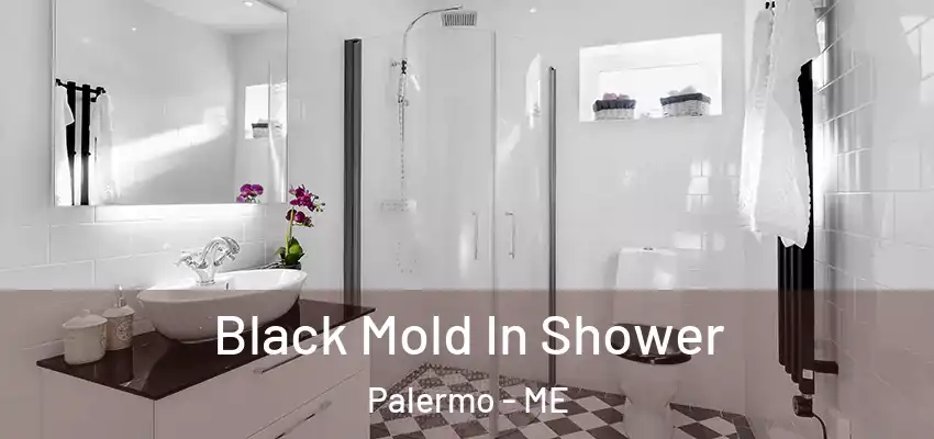 Black Mold In Shower Palermo - ME
