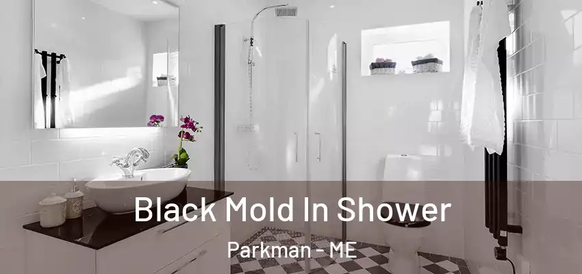  Black Mold In Shower Parkman - ME