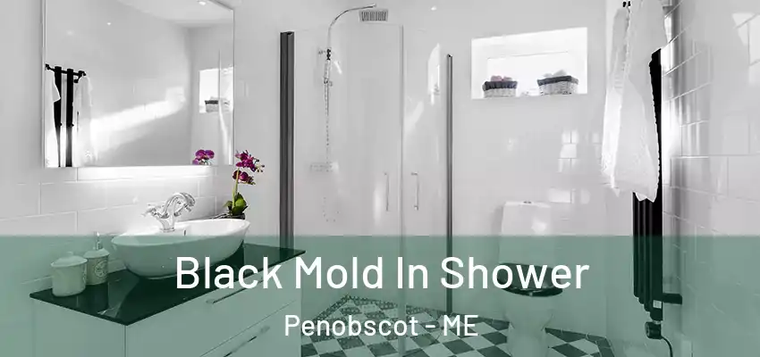  Black Mold In Shower Penobscot - ME