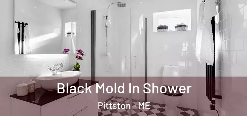 Black Mold In Shower Pittston - ME