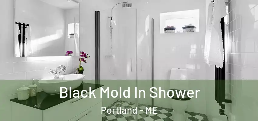 Black Mold In Shower Portland - ME